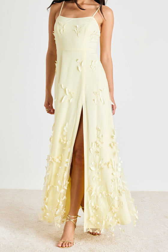 Abundant Charm Blush Pink 3D Floral Applique Maxi Dress
